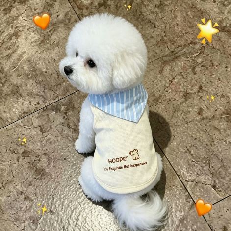 XC-1 Lightweight Dog T-Shirt with Striped Collar on a pet