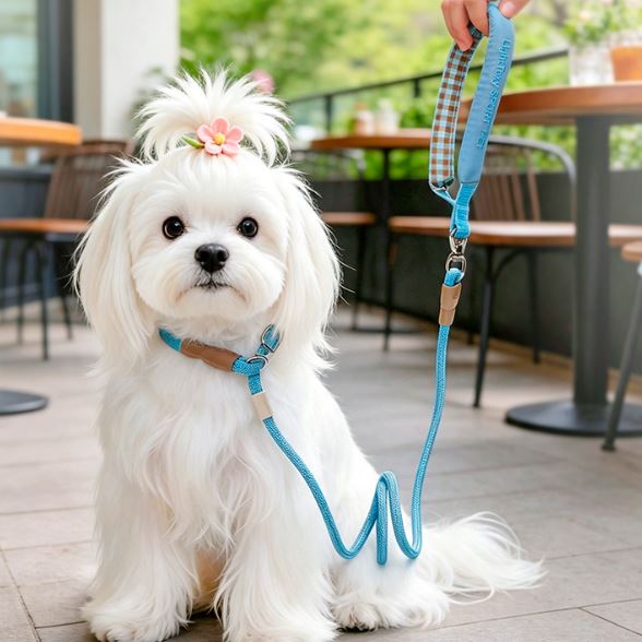 XC002 Rope Dog Leash with Padded Handle, 1.5 m on a pet
