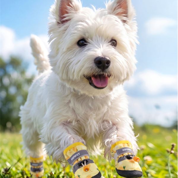 XC02 Waterproof Dog Boots with Rubber Sole on a pet