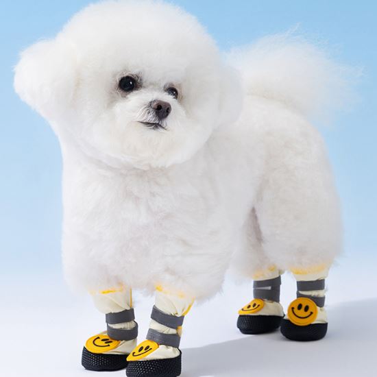 XC04 Breathable Ice-Silk Dog Shoes on a pet