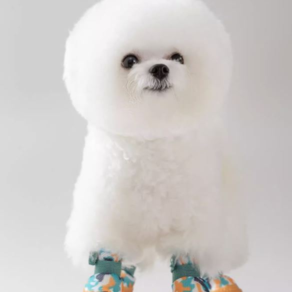 XC05 Breathable Mesh Dog Shoes, Soft TPR Sole on a pet