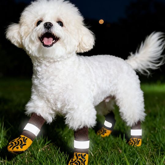 XC09 Anti-Slip Dog Grip Socks on a pet