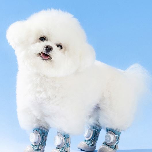 XC10 Rotary Quick-Lace Dog Shoes on a pet