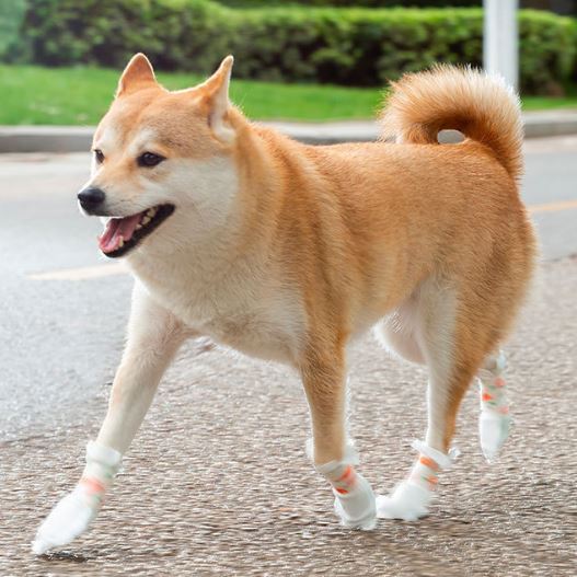 XC15 Disposable Dog Shoe Covers, Anti-Slip Sole on a pet