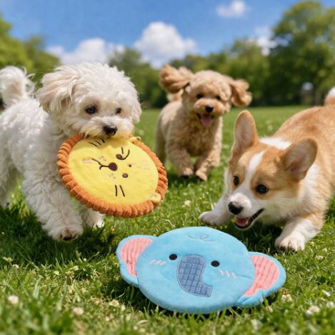 XC3 Plush Flying Disc Dog Toy on a pet