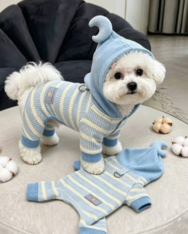 Dog & Cat Clothes
